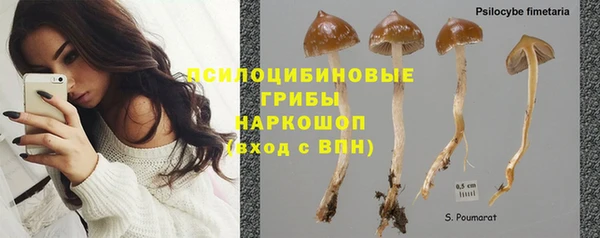 мдпв Наволоки