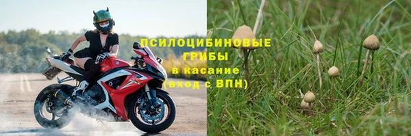 шишки Навашино